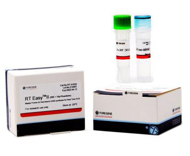 China Real Time PCR Transcriptor First Strand CDNA Synthesis Kit High Sensitivity for sale