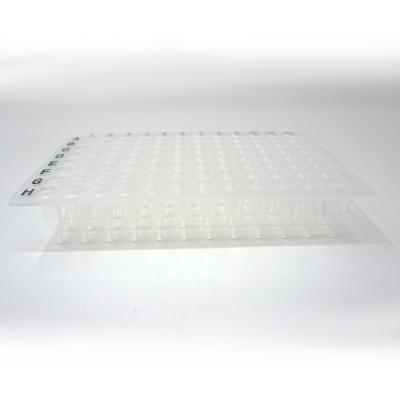 China Foregene 10 Plates/Kit Lab Consumables Transparent 96 Well PCR Plate 100ul 200ul for sale