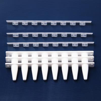 China Free DNase RNase Lab Consumables Optical Flat Cover PP Plastic 8 Trip Tube for sale