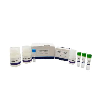 China ISO CE Plant Direct PCR Kit 500×20ul Rxns For Polysaccharide Polyphenol Plants for sale
