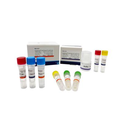 China Buffer CL One Step RT QPCR Kit 200T 1000T Cultured Cell Direct RT-QPCR for sale