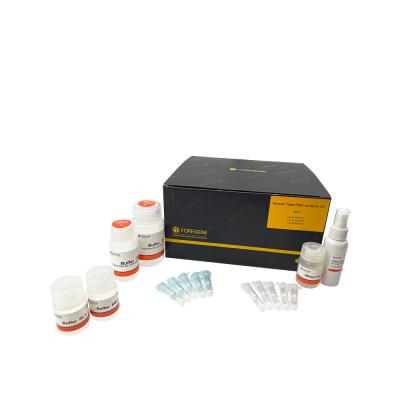 China ISO CE RNA Extraction From Animal Tissue OD260 OD280 Animal Total RNA Isolation Kit for sale