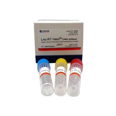 China Lnc-RT HeroTM I(With gDNase)(Super Premix for first-strand cDNA synthesis from lncRNA) for sale