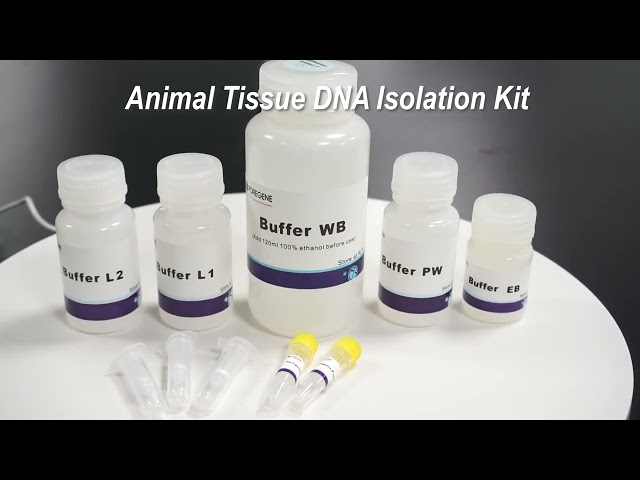 Animal Tissue DNA Isolation Kit