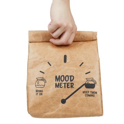 China Durable Recyclable Eco - Friendly Portable Reusable Thermal Insulated Tyvek Paper Lunch Bag With Magnetic Closure For Outdoor for sale