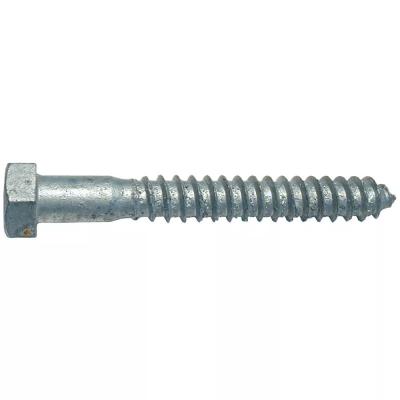 China Carbon Steel Hot Dipped Galvanized Lag Screws 3/8 x 4inch Outside for sale