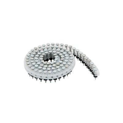 China Hardened Concrete Coil Nails 2.5 x 19mm Electro Galvanized Plastic Sheet HN25C for sale