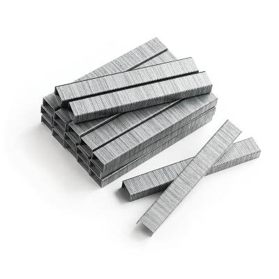 China 8mm Heavy Duty Staples 20GA 3/8 in Crown Leg T50 Galvanized Staples For Roofing for sale