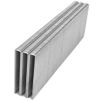 China 18 Gauge Galvanized Upholstery Industrial Staples L Series 1 Inch For Cabinet for sale