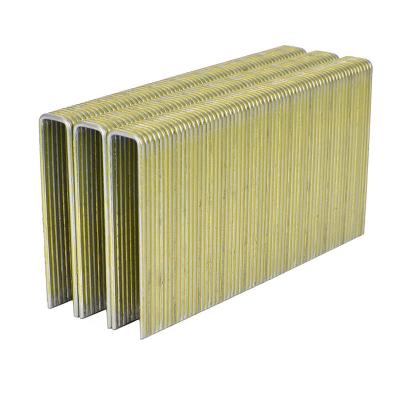 China N21 16GA Galvanized Flooring Staples 2 Inch Yellow 7/16 inch Crown for sale