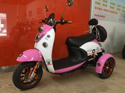 China Electric Tricycle Scooter With 800W Brushless Powered Tricycles For Adults Lead Acid for sale