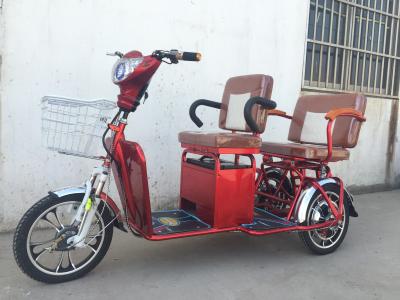 China Two Persons 3 Wheel Electric Tricycle Scooter 800W Brushless Steel Frame for sale