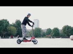 RoHS Aluminium Alloy 800W Electric Powerful Scooter With 50km Range