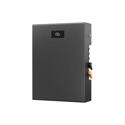 China 100Ah Residential Storage Battery Wall Mounted 5Kwh Powerwall Home Solar Storage System for sale