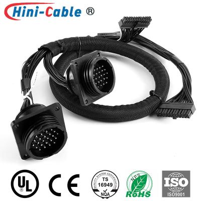 China Arnés del cable de alimentación de TE 24 Pin Male To MOLEX 24Pin 4.2m m en venta