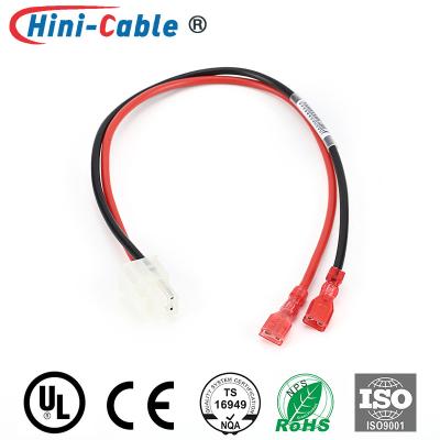 China 4.2mm 2x2Pin Male To Female 100mm Power Connection Cable for sale