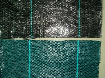 China Esteira tecida PP home da tela/erva daninha da vegetação rasteira do PE do jardim, preta à venda