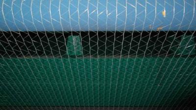 China Abrigo ultravioleta anti de la red de la bala del HDPE blanco para la granja al heno del almacenamiento, aduana en venta