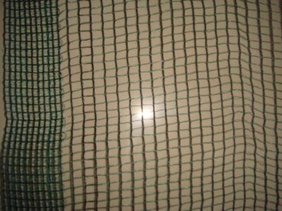 China Crop Anti Hail Protection Net With Uv Resistent For Grape 30gsm - 50gsm for sale