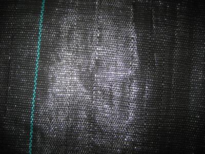 Chine PE/tissu 150gsm, tapis de couverture végétale tissé par pp de mauvaise herbe pour le jardin à vendre