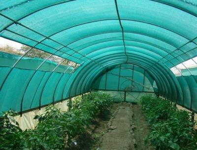 China HDPE Aschel Knitted Agriculture Shade Net For Greenhouse , 30gsm-300gsm for sale