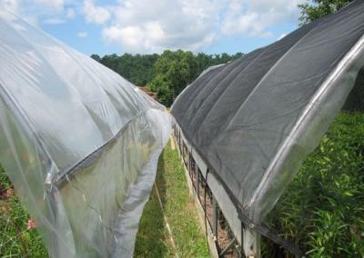 中国 農業、4 x 100m のための黒いプラスチック温室の陰の網 販売のため