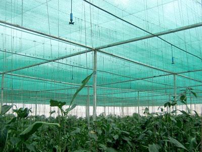 中国 Hdpe の日曜日の植物を保護する温室のための反紫外線農業の陰の網 販売のため