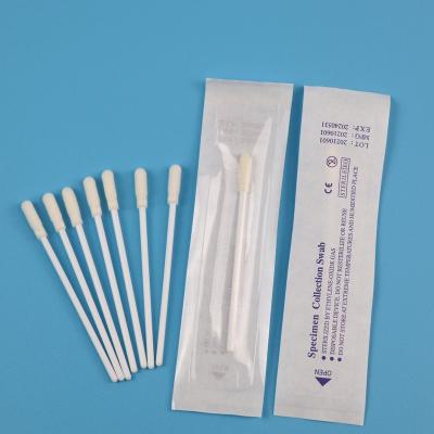 China Individual Wrapped 8cm Specimen Collection Swab , PCR Nose Swab for sale