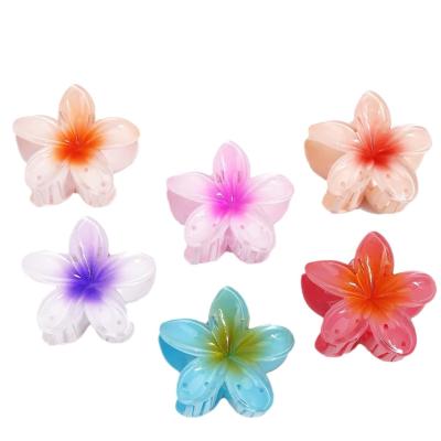 China Egg flower hair accessories all-match claw clip for sale
