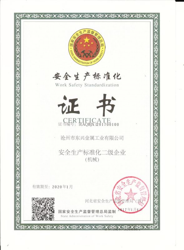  - Cangzhou Profession Import & Export Service Co., Ltd.