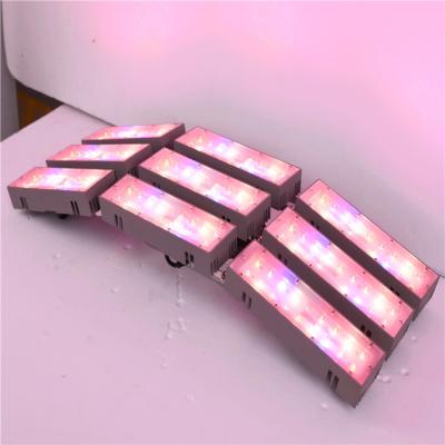 China Full spectrum light Adjust plant light 300W LED Growing Light  grow lights, led grow lamp ,led plant light ,led plant A+ for sale