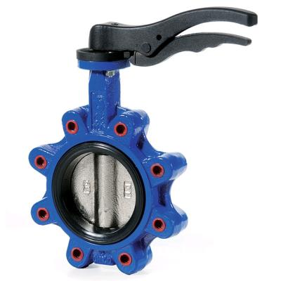 China Dn200 PN10 16 Wafer Butterfly Valve Body Casting For Valve Parts for sale