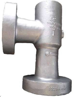 China Precision Industrial Valve Body Casting CT4-8 Surface Passivation Customized Size for sale